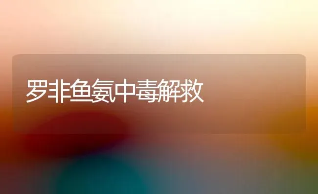罗非鱼氨中毒解救 | 淡水养殖