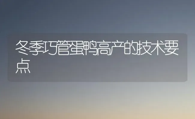 冬季巧管蛋鸭高产的技术要点 | 家禽养殖