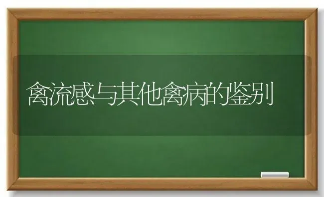 禽流感与其他禽病的鉴别 | 家禽养殖