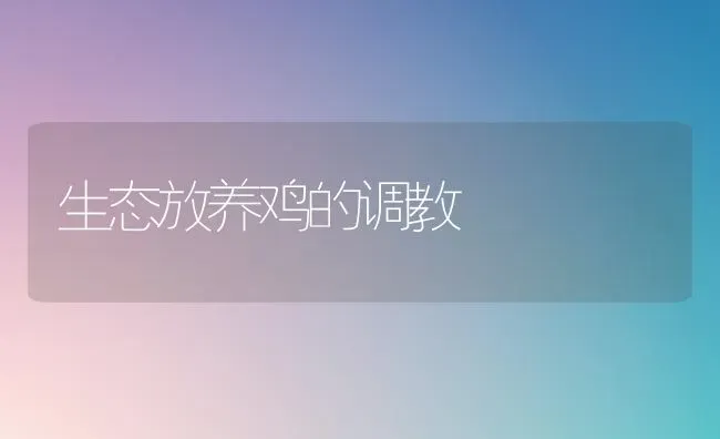 生态放养鸡的调教 | 家禽养殖