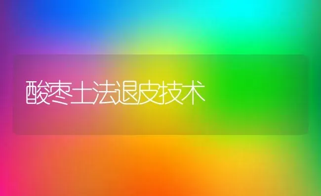 选择优良鸡苗淘汰品质差的雏鸡 | 家禽养殖