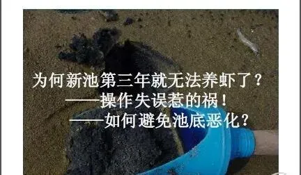 南美白对虾养殖水环境控制问题