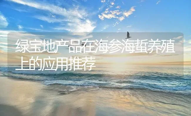 绿宝地产品在海参海蜇养殖上的应用推荐 | 海水养殖