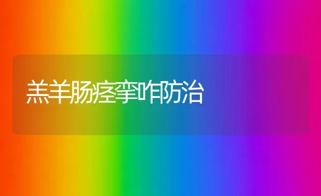 羔羊肠痉挛咋防治 | 家畜养殖