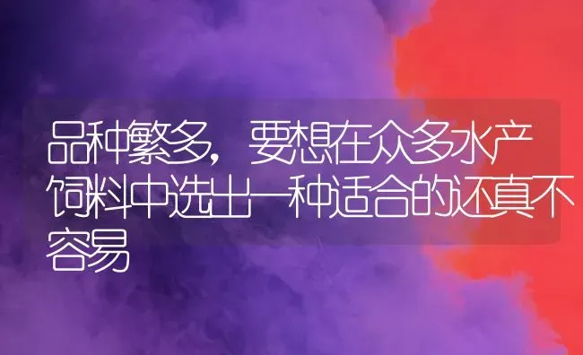 品种繁多，要想在众多水产饲料中选出一种适合的还真不容易 | 动物养殖饲料