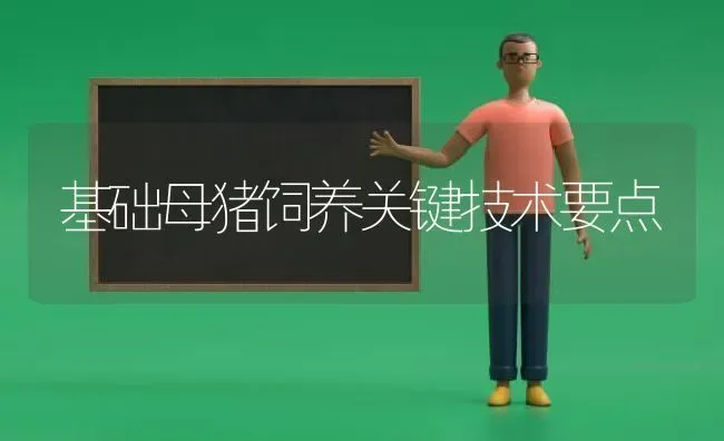 基础母猪饲养关键技术要点 | 家畜养殖