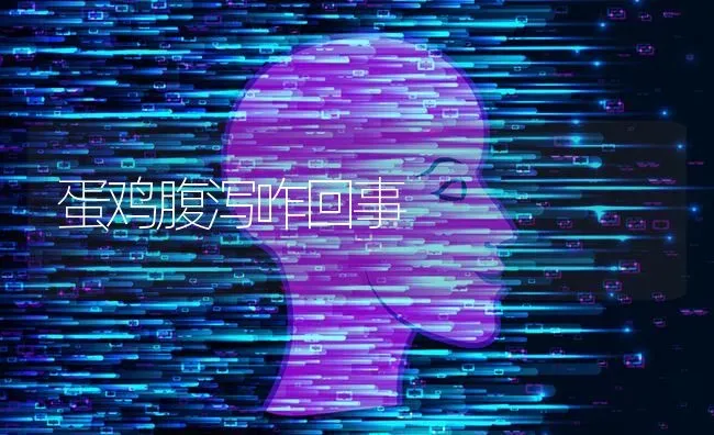 蛋鸡腹泻咋回事 | 家禽养殖