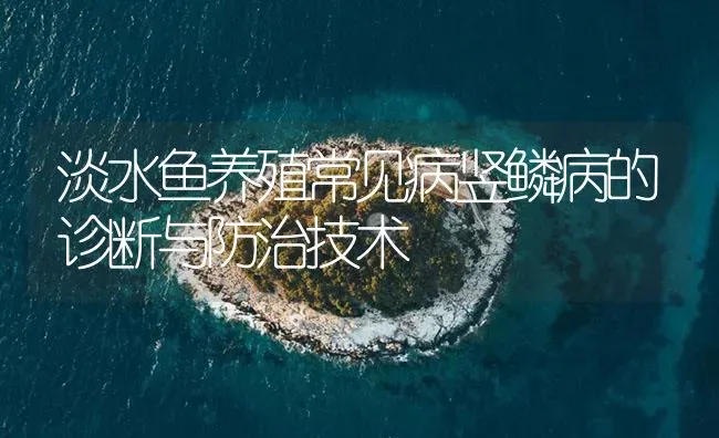 淡水鱼养殖常见病竖鳞病的诊断与防治技术 | 养殖病虫害防治