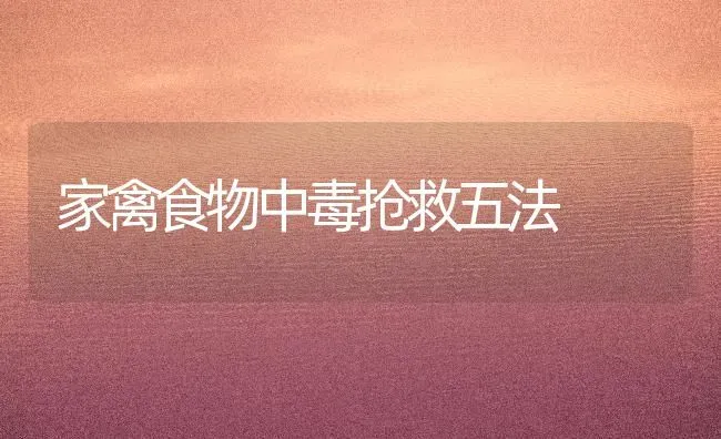家禽食物中毒抢救五法 | 家禽养殖