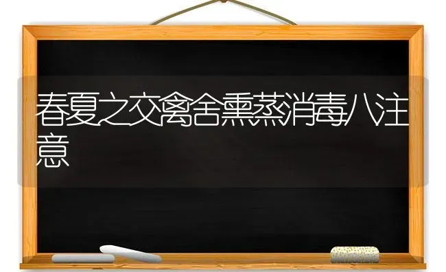 春夏之交禽舍熏蒸消毒八注意 | 家禽养殖