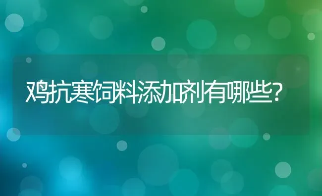 鸡抗寒饲料添加剂有哪些？ | 家禽养殖