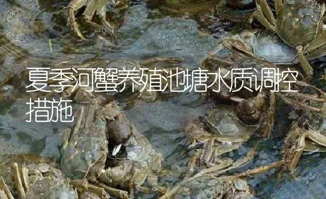 夏季河蟹养殖池塘水质调控措施 | 淡水养殖