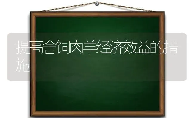 提高舍饲肉羊经济效益的措施 | 家畜养殖