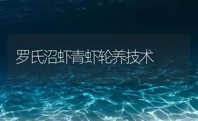 罗氏沼虾青虾轮养技术 | 海水养殖