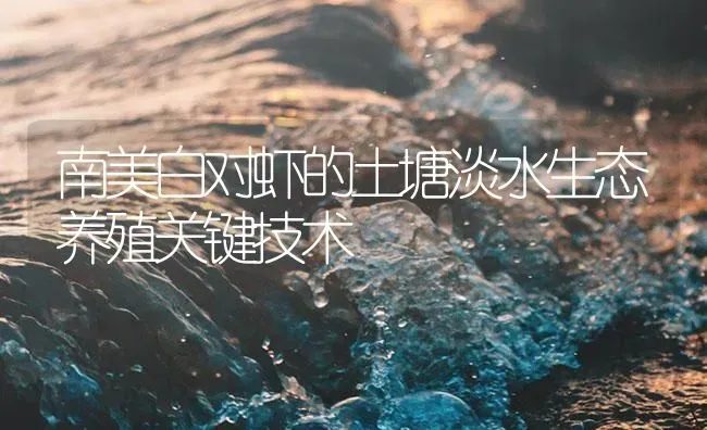 南美白对虾的土塘淡水生态养殖关键技术 | 海水养殖