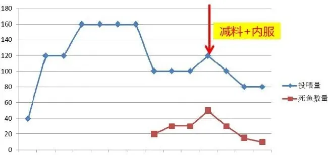 湖北洪湖地区投喂不规律导致死鱼案例分析