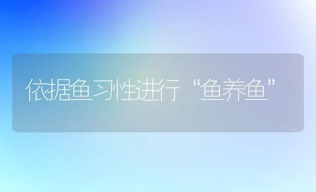 依据鱼习性进行“鱼养鱼” | 淡水养殖