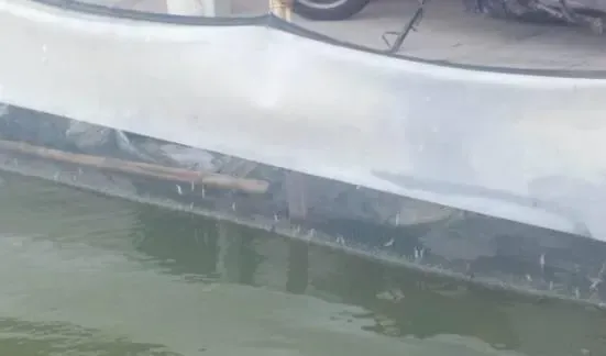 近期江苏兴化地区河蟹塘口急性缺氧的应对办法