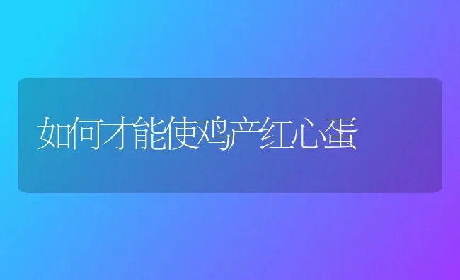 如何才能使鸡产红心蛋 | 家禽养殖