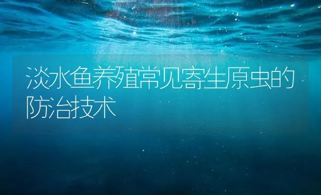 淡水鱼养殖常见寄生原虫的防治技术 | 养殖病虫害防治