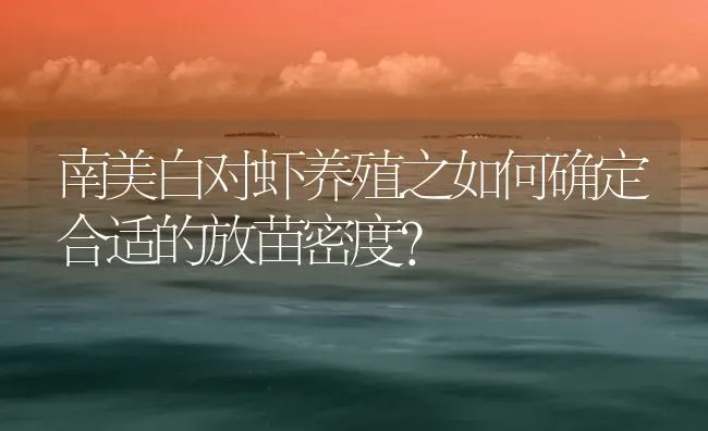 南美白对虾养殖之如何确定合适的放苗密度？ | 海水养殖