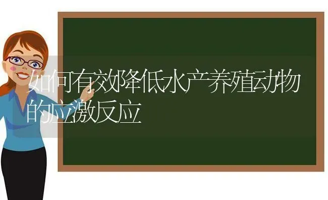 如何有效降低水产养殖动物的应激反应 | 动物养殖百科