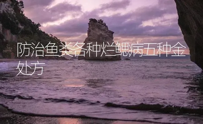 防治鱼类各种烂鳃病五种金处方 | 养殖病虫害防治