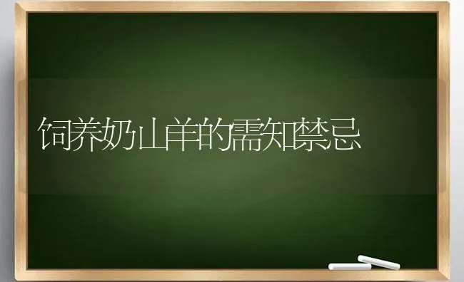 饲养奶山羊的需知禁忌 | 家畜养殖