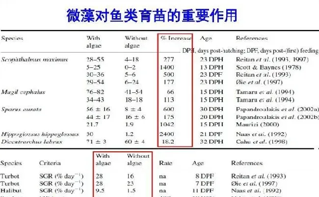 微藻在水产养殖和特种饲料中的应用