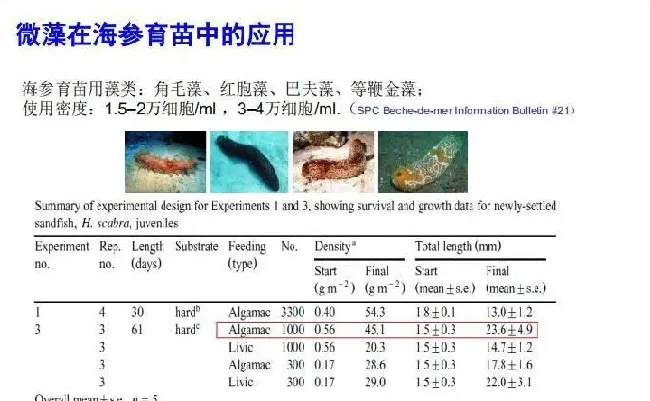 微藻在水产养殖和特种饲料中的应用