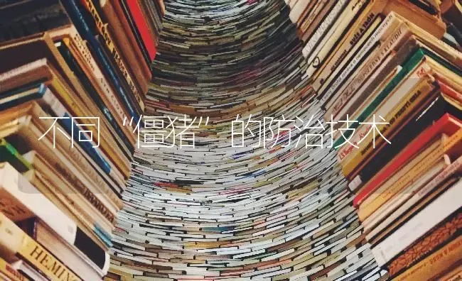 不同“僵猪”的防治技术 | 家畜养殖