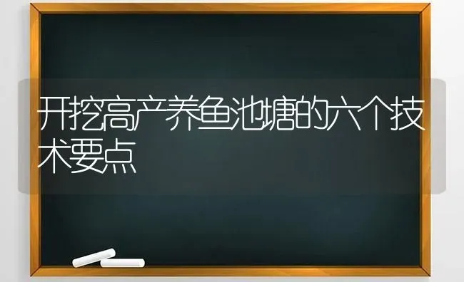 开挖高产养鱼池塘的六个技术要点 | 动物养殖百科