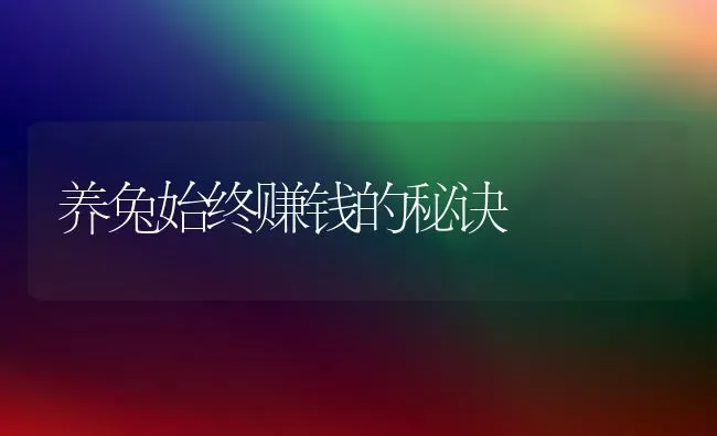 养兔始终赚钱的秘诀 | 家畜养殖