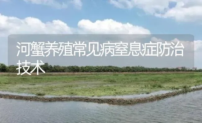 河蟹养殖常见病窒息症防治技术 | 淡水养殖
