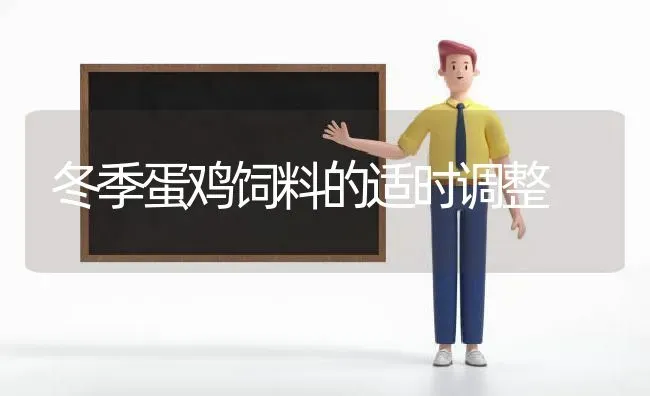 冬季蛋鸡饲料的适时调整 | 家禽养殖