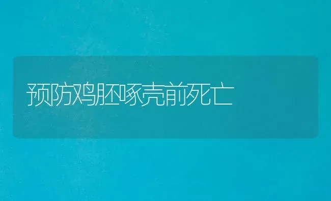 在什么条件下能使育肥猪长得快 | 家畜养殖