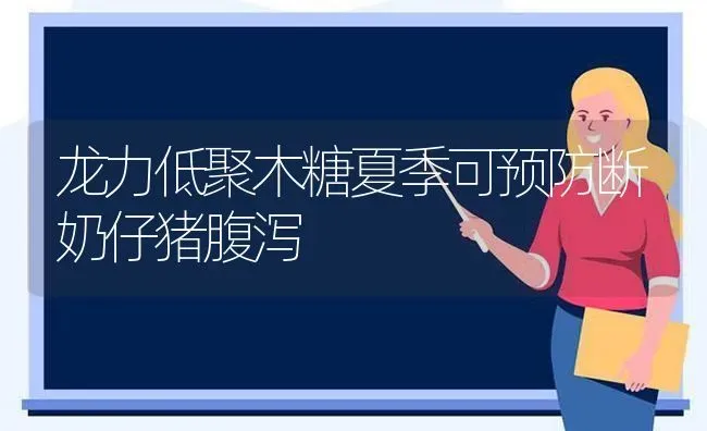 龙力低聚木糖夏季可预防断奶仔猪腹泻 | 家畜养殖