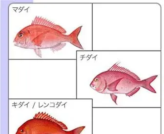 日本渔药种类构成，数量共计53种