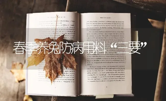 春季养兔防病用料“三要” | 家畜养殖