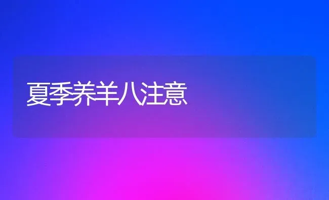 夏季养羊八注意 | 家畜养殖