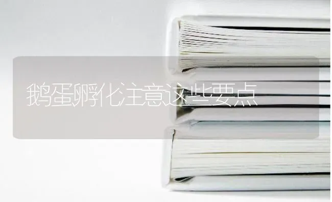 鹅蛋孵化注意这些要点 | 家禽养殖