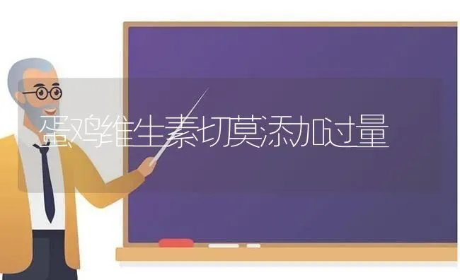 蛋鸡维生素切莫添加过量 | 家禽养殖