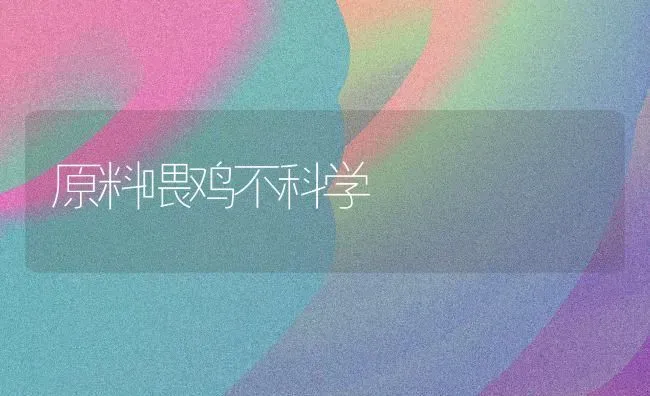 原料喂鸡不科学 | 家禽养殖