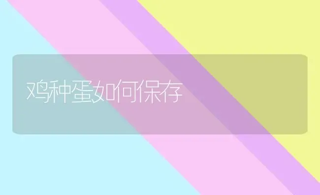 鸡种蛋如何保存 | 家禽养殖