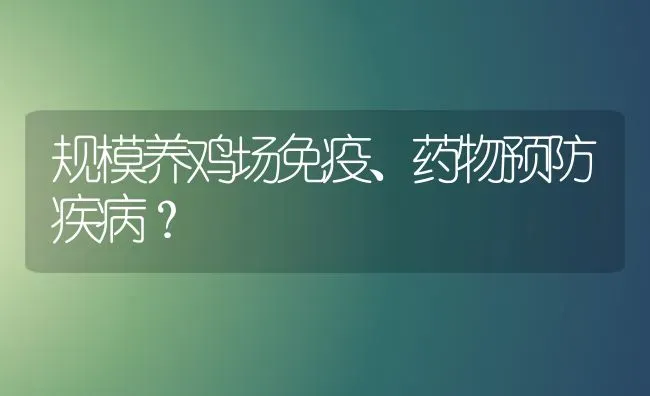 规模养鸡场免疫、药物预防疾病？ | 养殖病虫害防治