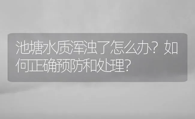 池塘水质浑浊了怎么办？如何正确预防和处理？ | 动物养殖百科