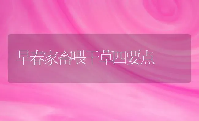 早春家畜喂干草四要点 | 家畜养殖