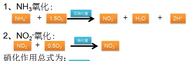 池塘水质碱度介绍及调控解决方案！