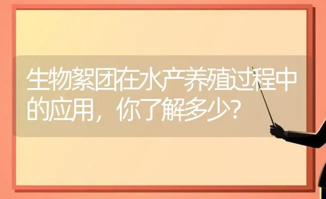 生物絮团在水产养殖过程中的应用，你了解多少？ | 动物养殖百科