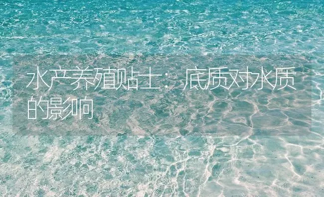 水产养殖贴士：底质对水质的影响 | 动物养殖百科